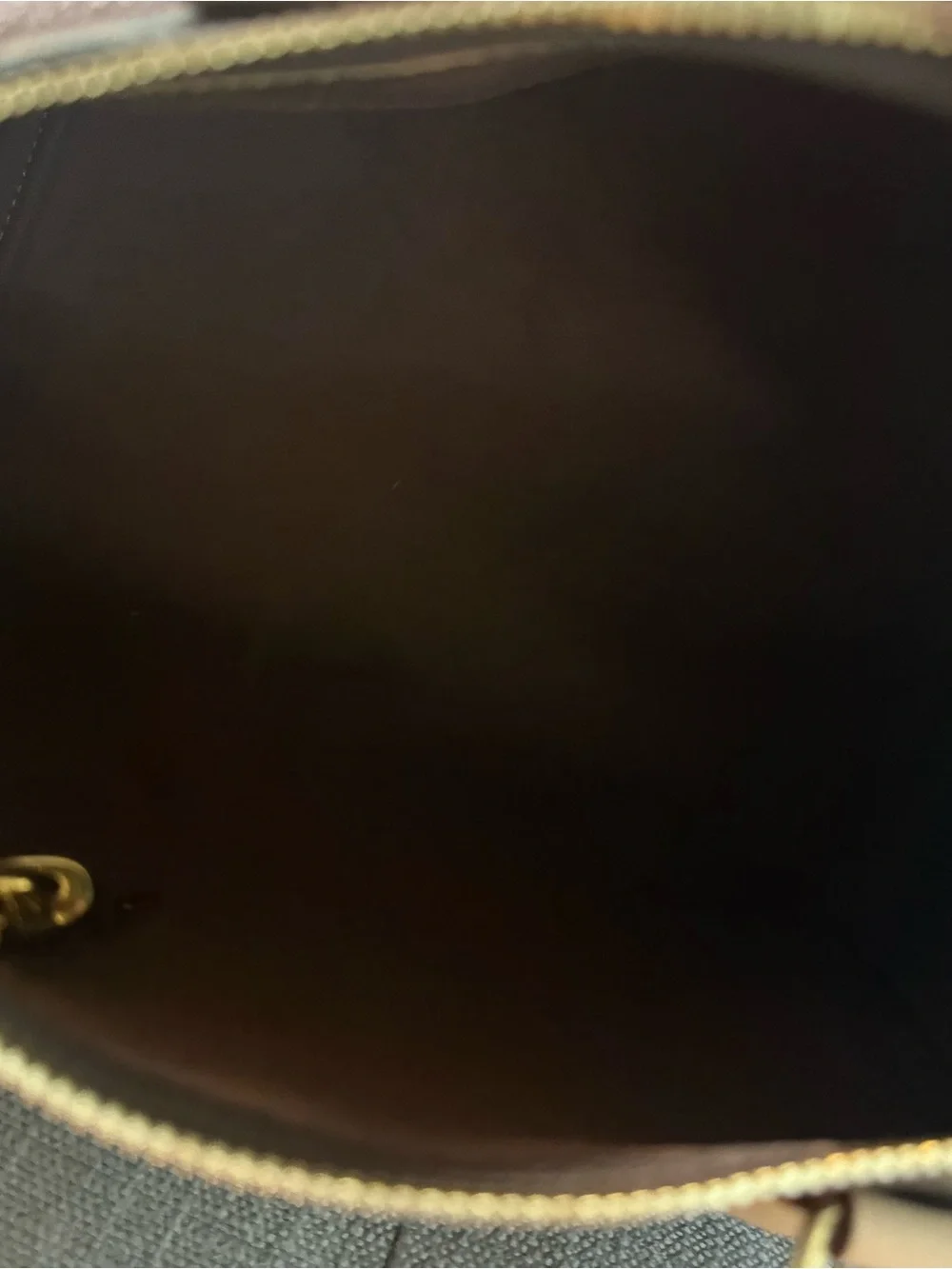 Louis Vuitton Dark Brown Tote with Gold-Tone Zip